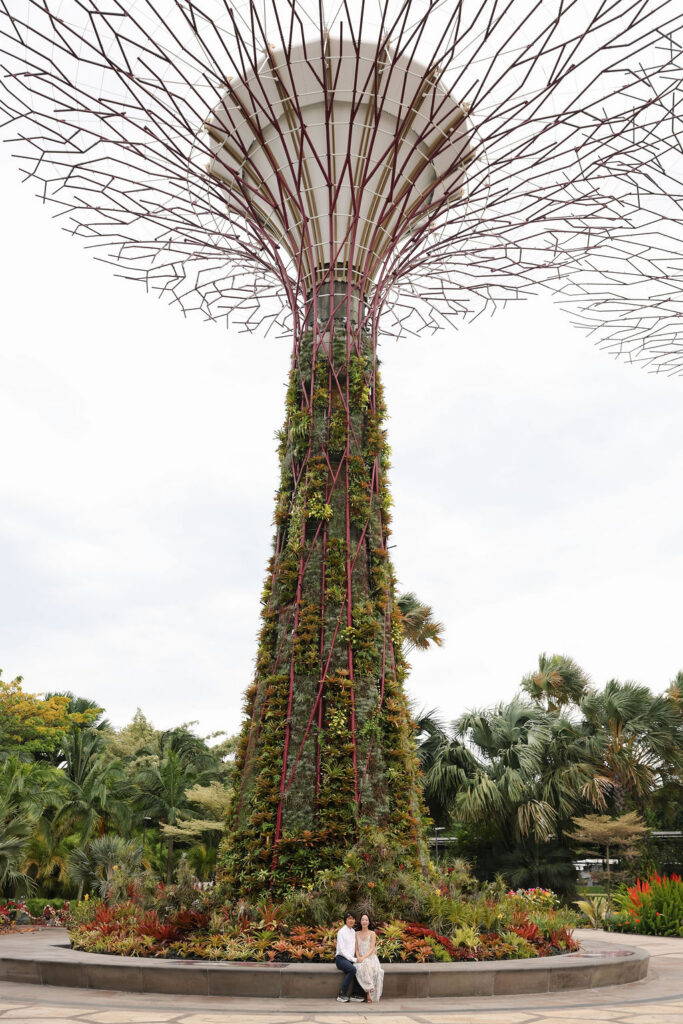 Gardens by the bay engagement session